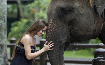 bali rafting and elepehnt ride